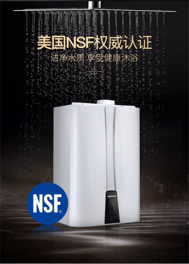 NPE大户型冷凝式燃气热水器530.jpg